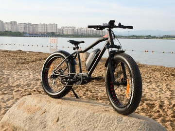 Bicicleta eléctrica de neumáticos anchos TG-S001
