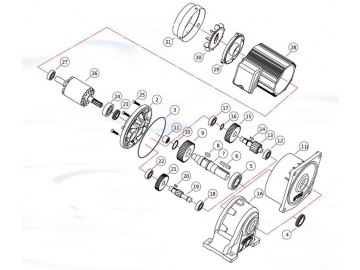 Estructura y piezas del motorreductor