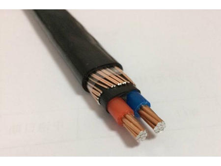 Cable concéntrico