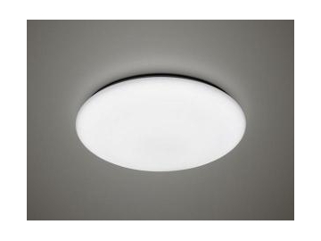 Lámpara de techo LED impermeable para interior SC-H107A