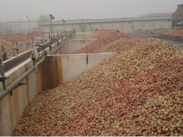 Línea de procesamiento de jugo concentrado de manzana