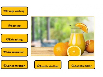 Línea de procesamiento de jugo concentrado de naranja