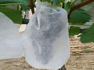 Tela no tejida, bolsa protectora para frutas