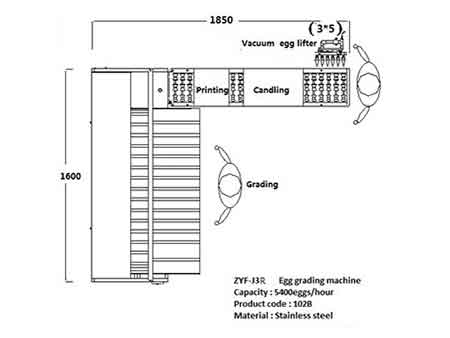 Clasificadora de huevos 102B (54000 huevos/hora)