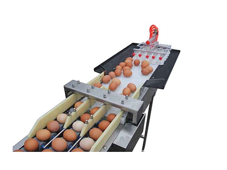 Clasificadora de huevos 102B (54000 huevos/hora)