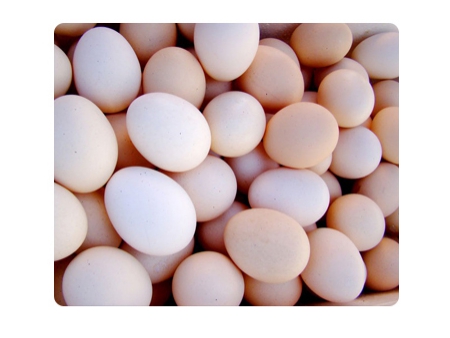 Línea de procesamiento de huevos de pato 302BS con carga de huevos en agua, lavado y clasificación (10,000 huevos/hora)