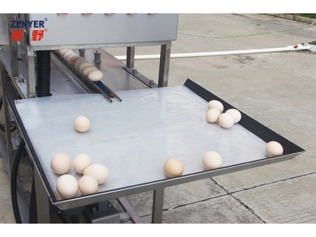 Lavadora de huevos 200AS (2000 huevos/hora)
