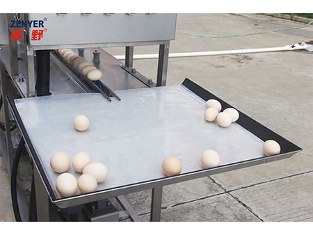 Lavadora de huevos 200A (3000 huevos/hora)