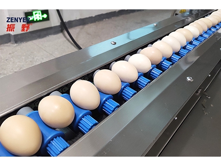 Lavadora de huevos 201A (5000 huevos/hora)