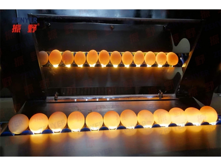 Lavadora de huevos 202B (10000 huevos/hora)