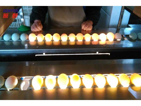 Lavadora de huevos 203B (20000 huevos/hora)