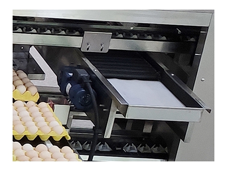 Máquina Empacadora de Huevos 713A (27,000 huevos/hora)