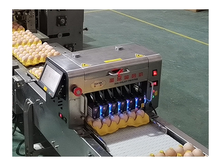 Máquina Empacadora de Huevos 713A (27,000 huevos/hora)