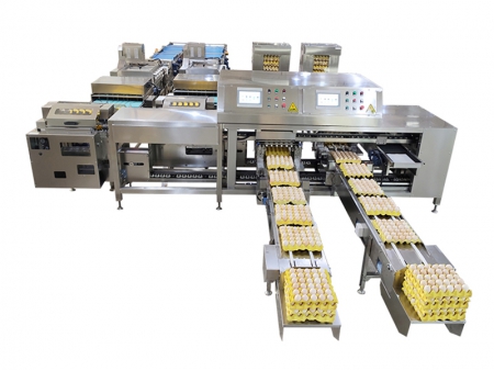 Máquina Empacadora de Huevos 714 (55,000 huevos/hora)