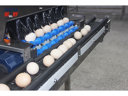 Acumulador de huevos 605A