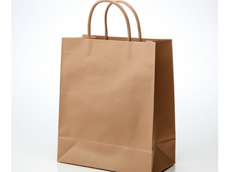 Equipos de fabricación de bolsas de papel para:  Bolsas de papel de Pulpa o Pasta Virgen