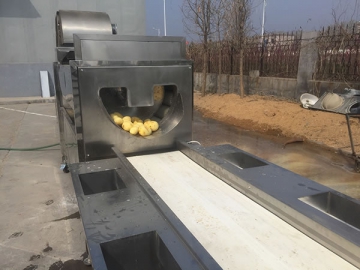 Línea de producción de patatas chip