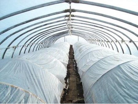 Línea para triturar, limpiar y comprimir plásticos agrícolas
