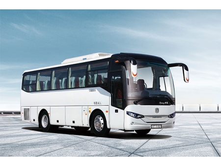 Autobús turístico 6898H (Spring)