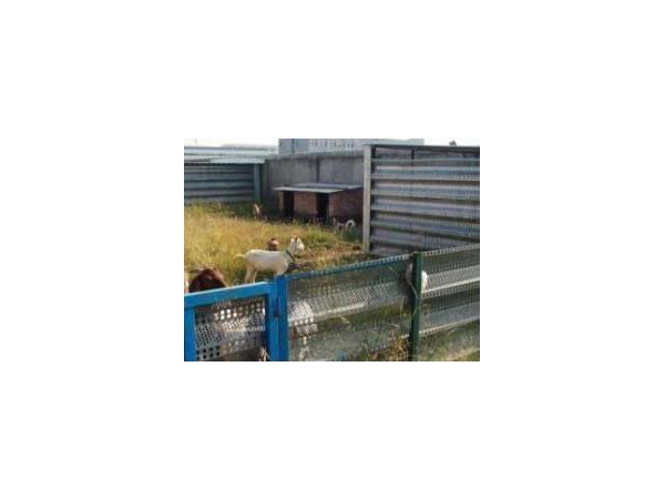 Valla apara animales | Valla para pastos | WalMax | ETW International