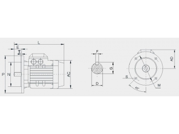 Motor de inducción de corriente alterna serie YE2