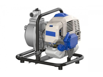 Bomba de agua a gasolina WP508-10B