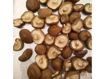 Liofilización de alimentos