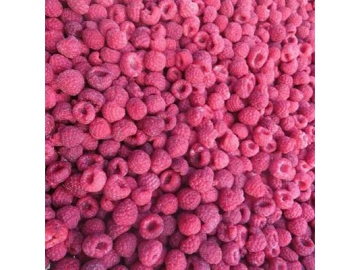 Liofilización de alimentos
