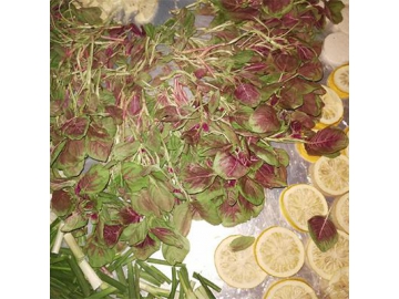 Liofilización de alimentos