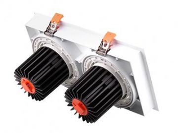 Luz Descendente Serie G, Doble Cabezal de Luz Descendente LED LED COB