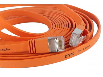 Cable de red CAT6a FTP