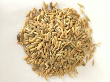 Descascarador de arroz con aspirador, máquina para grano perlado SYX-MLGQ