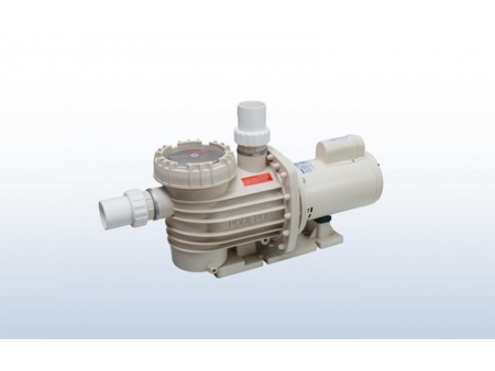 Bomba para piscina DXD-20ZM