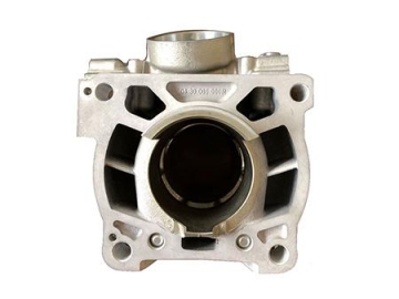 Cilindro completo, moto de cross KT 125SX