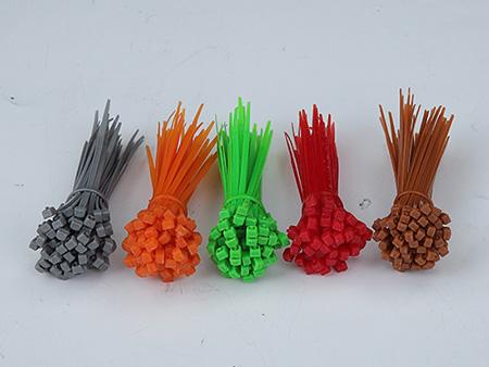 Bridas de Nylon