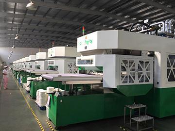 Máquina moldeadora automática - para envases de pulpa moldeada LD-12B-1850