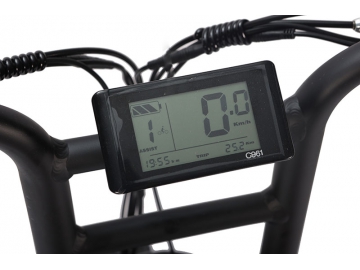 Bicicleta Eléctrica 20