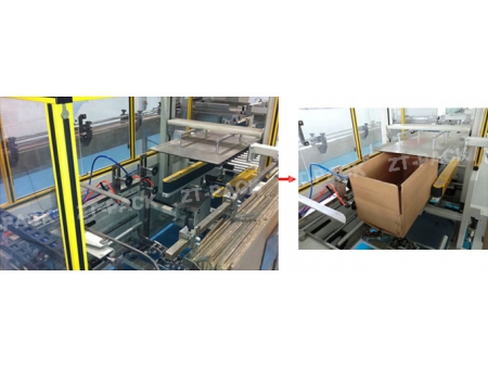 Línea de Envasado en Cajas de Cartón