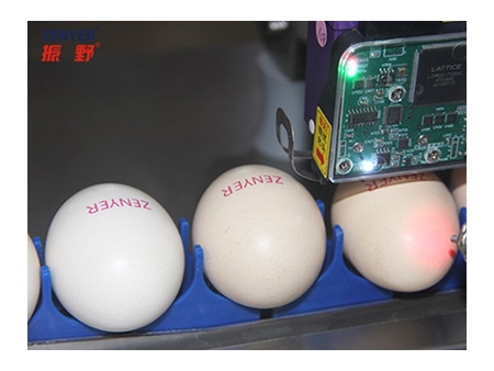 Codificador de huevos 401H