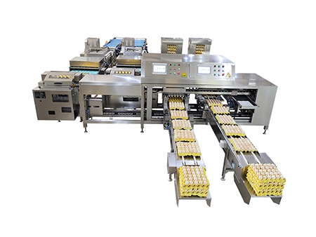 Máquina Empacadora de Huevos 714 (55,000 huevos/hora)