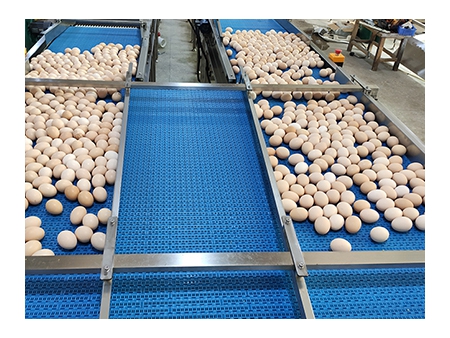 Máquina Empacadora de Huevos 714 (55,000 huevos/hora)