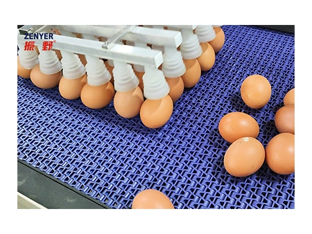 Línea de procesamiento de huevos 301AP, con lavado y clasificación (5.000 huevos por hora)
