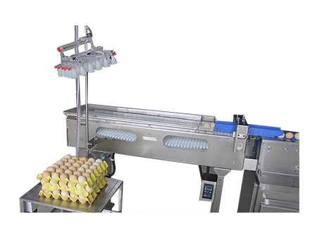Acumulador de Huevos 604AS
