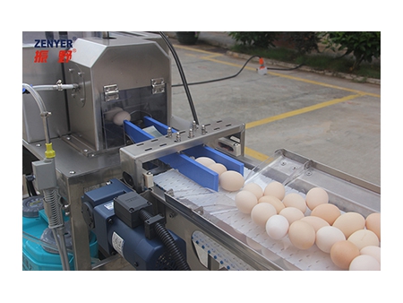 Acumulador de Huevos 604AS