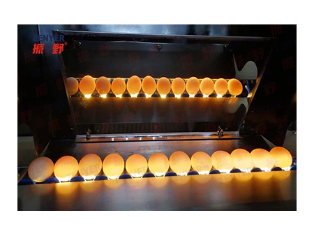 Acumulador de Huevos 604AS