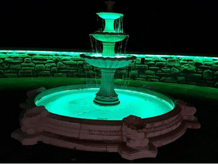 Tira LED de color único SMD3528 (9.6W)