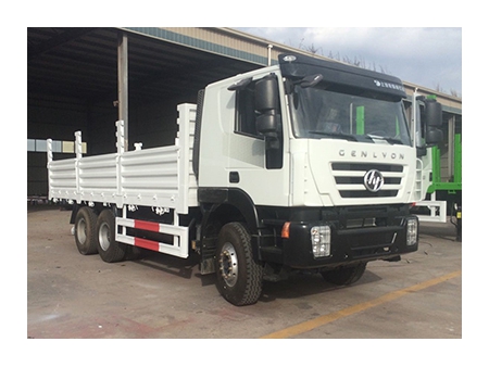 Camión de carga 6×4 Euro V (Genlyon)