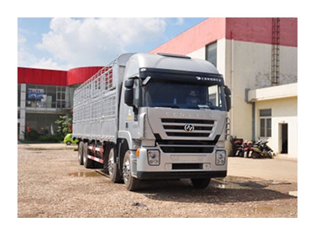 Camión de carga 8×4 Euro IV (Kingkan)