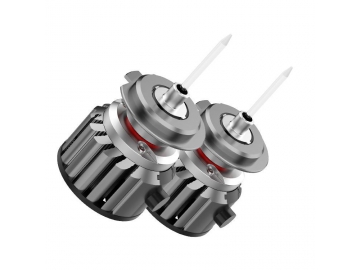 Bombilla LED para faros delanteros, Serie Y16