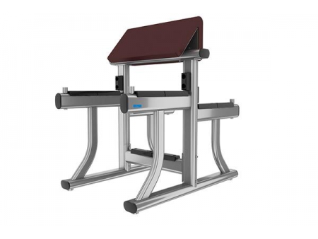 Banco para curl de bíceps TZ-8025